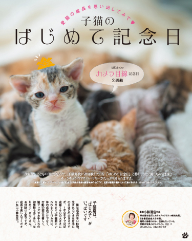 杉並区宮前にある動物病院 犬猫の診療 駐車場あり クレジットカード利用可