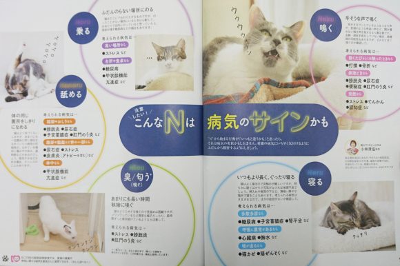 杉並区宮前にある動物病院 犬猫の診療