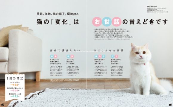 杉並区宮前にある動物病院 犬猫の診療 駐車場あり クレジットカード利用可