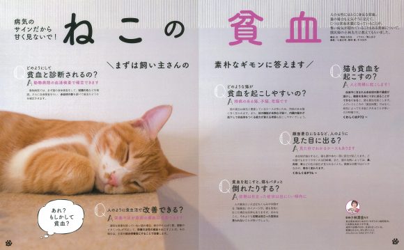 ねこのきもち19年2月号監修 モノカどうぶつ病院