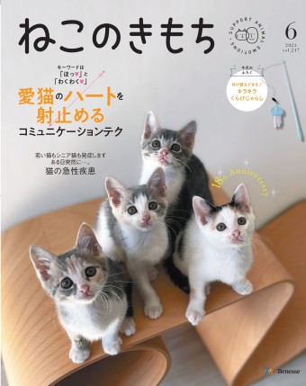 猫のきもち ねこのきもち 2023年6月号監修 | モノカどうぶつ病院