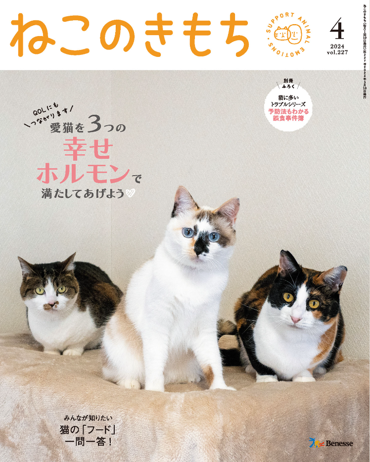 ねこのきもち 2024年4月号監修 | モノカどうぶつ病院