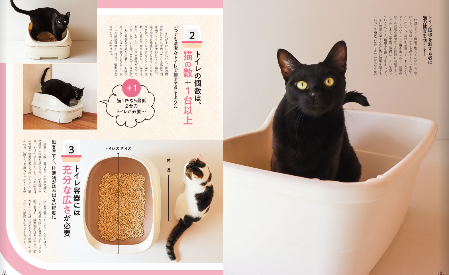 ねこのきもち 2025年7月号監修 | モノカどうぶつ病院