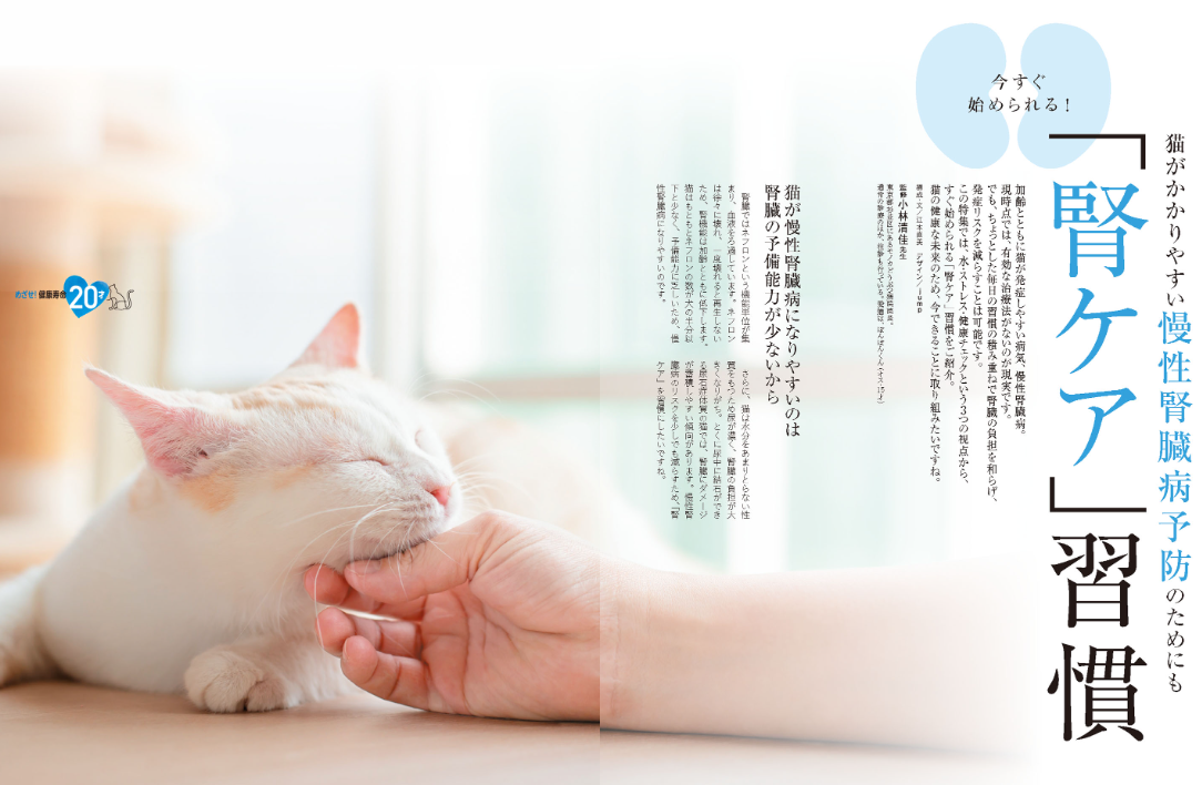 裁断済み‼️スキャナーが必要です‼️犬と猫の内分泌代謝疾患 犬と猫の内分泌代謝疾患 | 西飯 直仁 |本 | 通販 | Amazon